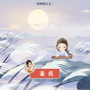 牛老师讲遗精全过程
