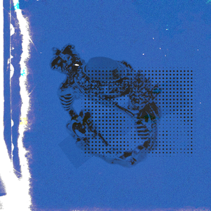 牛老师讲遗精全过程
